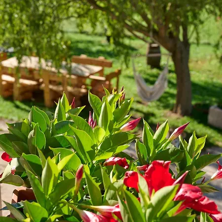 Dimora Valentina Casa Primula Apartman *